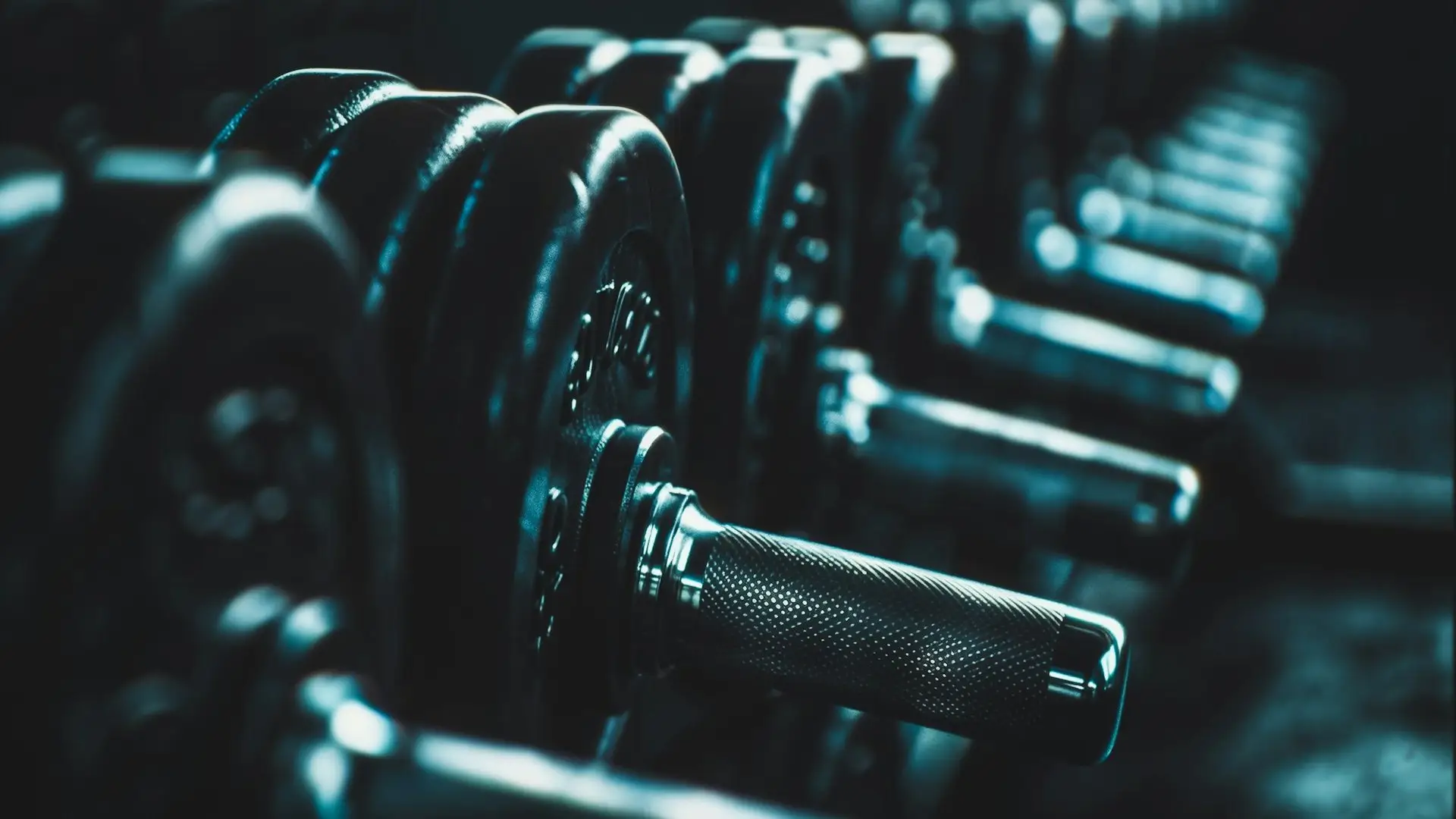 A row of dumbbells in a dim gym